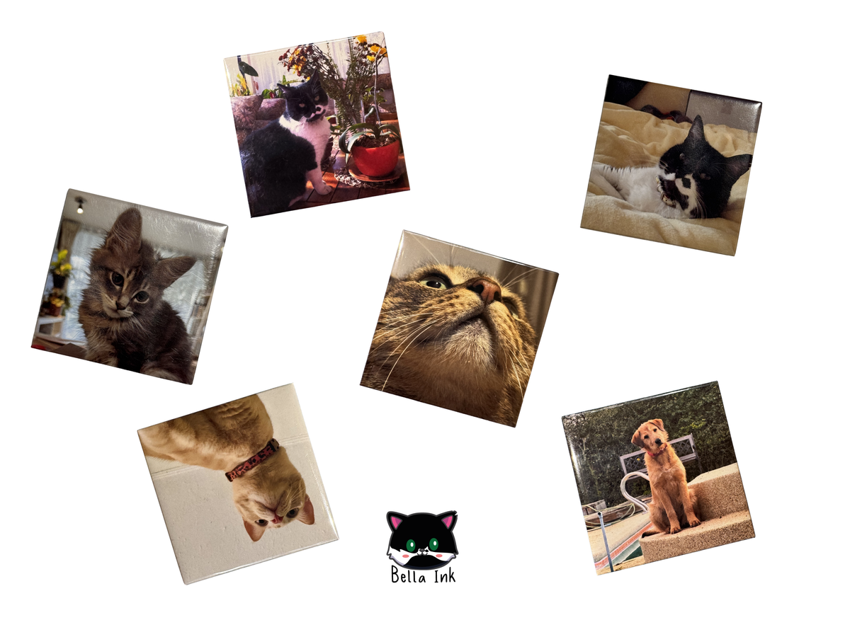Pack de Imanes